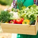 How to Start Organic Farming Business in India