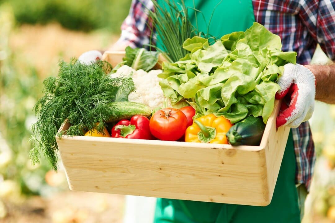 How to Start Organic Farming Business in India